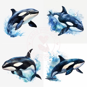 ORCA PNG , Water Color CLIPART, Marine Animals Png, Digital Download Commercial Use Aquatic Animal Transparent Clipart Designs