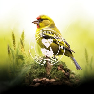 May include: A green finch bird perched on a mossy branch with a white circle stamp that says "Hand Made With Love" with a heart and hand icon.