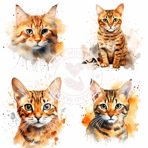 CHEETOH CAT Png, Water Color CLIPART, Cat Lover Png, Digital Download Commercial Use Kitten Clipart Designs