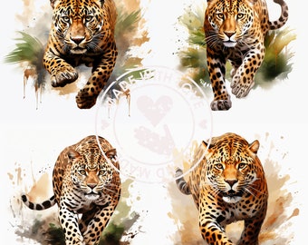 Leopard Aquarell Clipart: Tropische Safari Tiere PNG (digitaler Download)