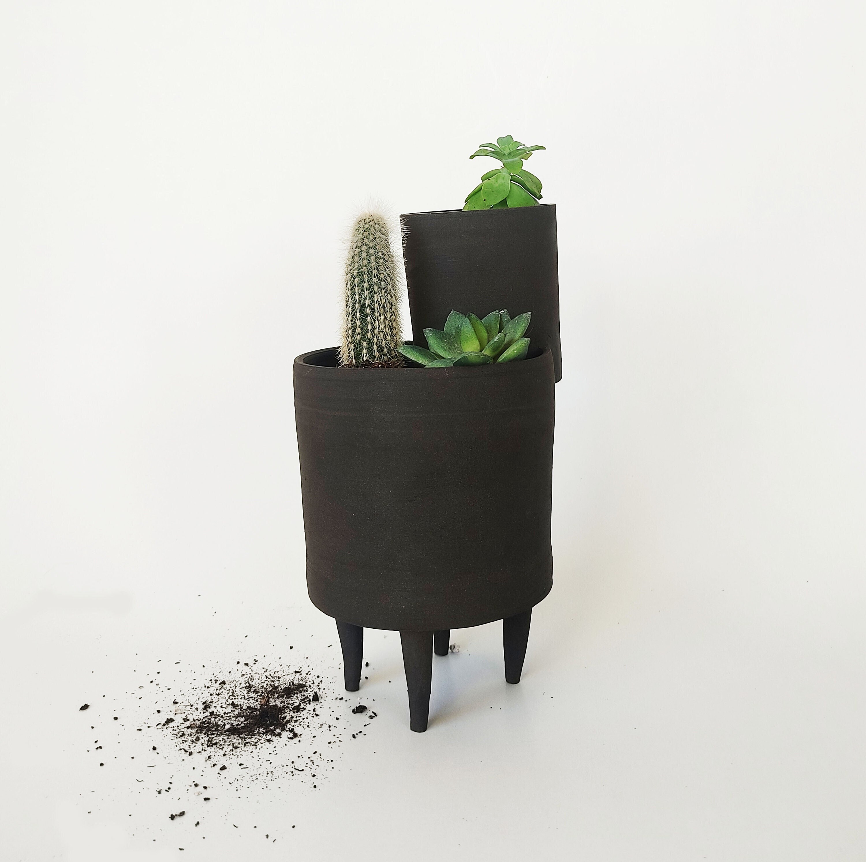 Pot de Fleur Entremêlé sur Pieds - Décoration Pour Plantes Vertes, Succulentes ou Cactus Jardinière 