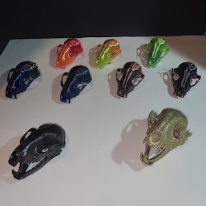 3D Printed Raccoon Skull
