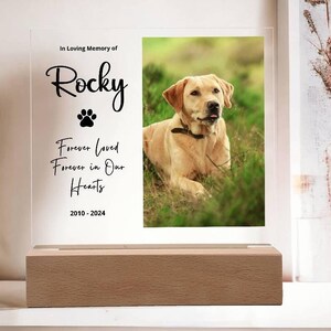Personalized Pet Memorial LED Plaque: Custom Dog Photo Night Light