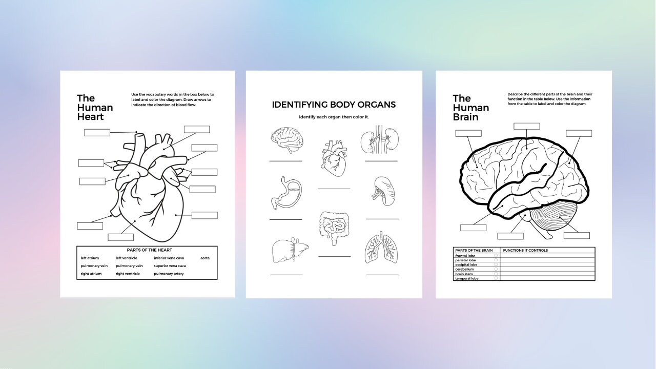 Biology Learn and Colour Printable Bundle, Instant Download - Etsy