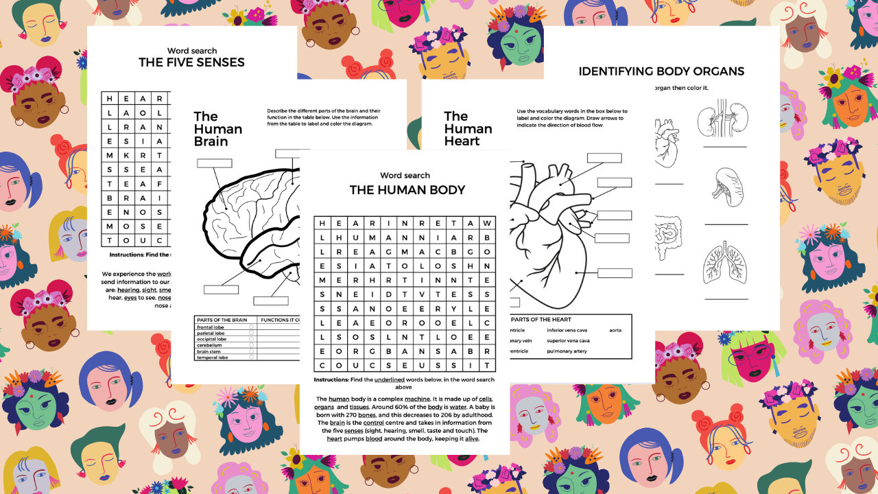 Biology Learn and Colour Printable Bundle, Instant Download - Etsy
