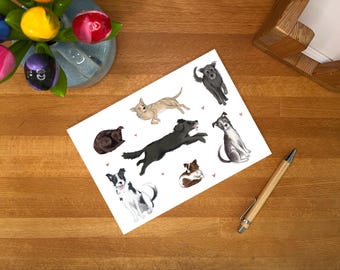 Postcard animal protection dogs