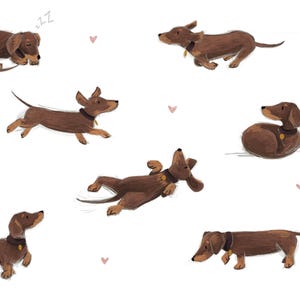 May include: An illustration featuring multiple brown dachshunds in different poses, such as sleeping, running, and playing. The dogs are wearing collars and are set against a white background with small pink hearts.