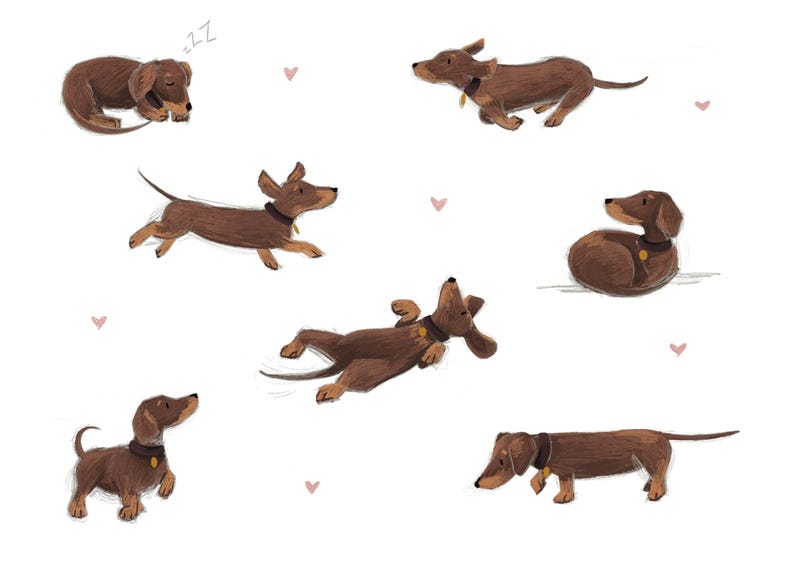 May include: An illustration featuring multiple brown dachshunds in different poses, such as sleeping, running, and playing. The dogs are wearing collars and are set against a white background with small pink hearts.