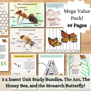 Puede incluir: Un conjunto de tres paquetes de estudio de unidades de insectos, con la hormiga, la abeja y la mariposa monarca. El conjunto incluye 49 páginas de actividades educativas e ilustraciones, perfectas para aprender sobre estas fascinantes criaturas.