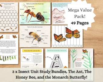 MEGA INSECT Bundle. 49 pages!! Montessori Style Nature Unit Study Packs. Digital Download Printable