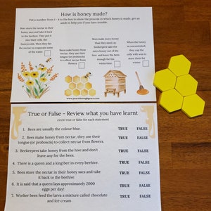 Honey Bee Unit Study Bundle, Learning, Montessori, Charlotte Mason, Fun ...
