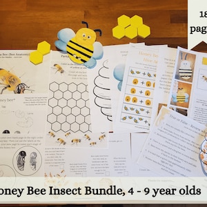 Può includere: Pacchetto di insetti delle api per bambini dai 4 ai 9 anni. Questo pacchetto stampabile di 18 pagine include attività come colorare, contare, vero o falso e il ciclo di vita dell'ape.