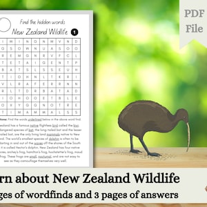 New Zealand Wildlife Word Searches | Learn about New Zealand Animals | Kiwi Wildlife Word Find | Digital Download | Worksheets Aotearoa