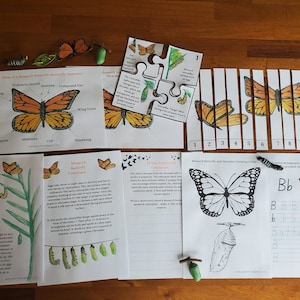 Monarch Butterfly Study Bundle, Montessori, Charlotte Mason, Zabawne ćwiczenia edukacyjne. Life Cycle Nature Study. Pobieranie cyfrowe
