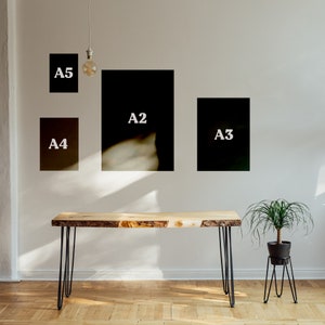 May include: A live-edge wooden desk with black hairpin legs. Four black framed prints labeled A5, A4, A2, and A3 are mounted on the wall above the desk. A potted plant in a black pot sits on a black metal stand.