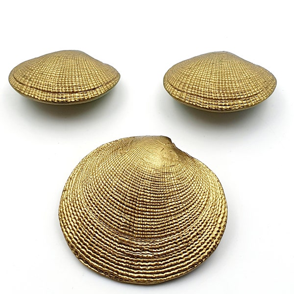 Ugo Correani Shell Earrings  Pin Set - 1970s Plastic Jewelry for Women, Shell Jewelry, Italian Designer Jewelry