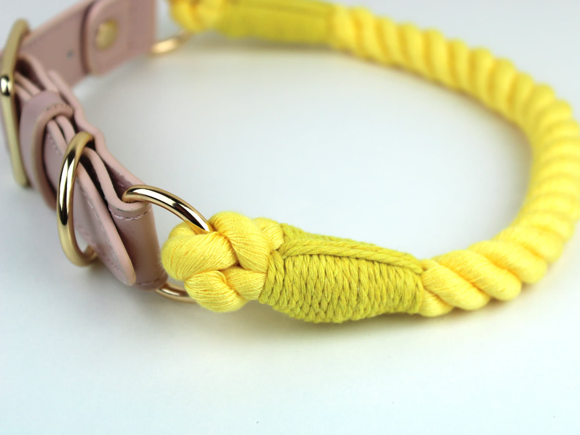 Dog Leash and Collar Set // Yellow Dog Collar and Leash Set Etsy