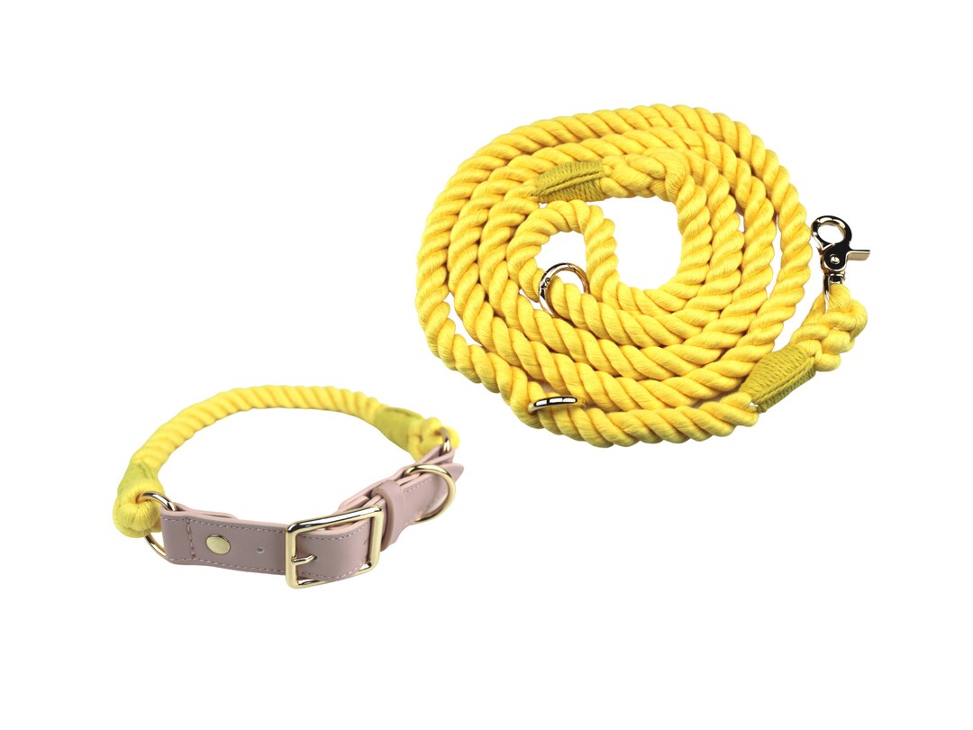 Dog Leash and Collar Set // Yellow Dog Collar and Leash Set Etsy