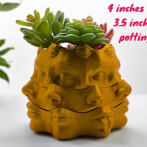 May include: Gold-colored ceramic planter shaped like a stack of faces. The planter is 4 inches tall and 3.5 inches wide. It has a succulent plant growing inside.
