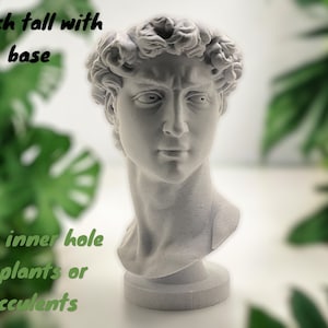 David Bust 3d Printed Planter | David Head Planter | Succulent Planter | 3d Printed Vase | Marble Color White