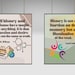 History Quotes set of 8 Printables, History Classroom Decor ...