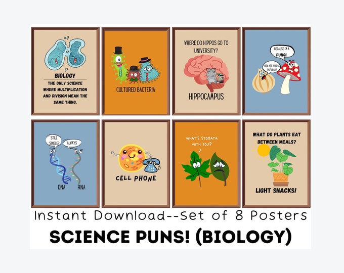 Famous Mathematicians Posters (set of 8) Printable, Math Classroom ...