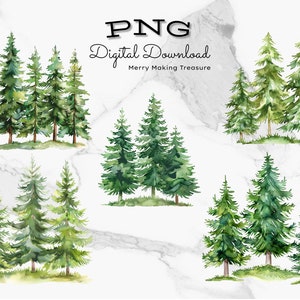 Watercolor Forest Clipart PNG Set: Summer Tree Designs (Digital Download)