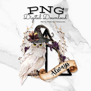 Eule png, Immer, Sublimationsdesign, Digital Download, Print on Demand Designs. Hexe und Zauberer als png. Eine (1) PNG-Datei