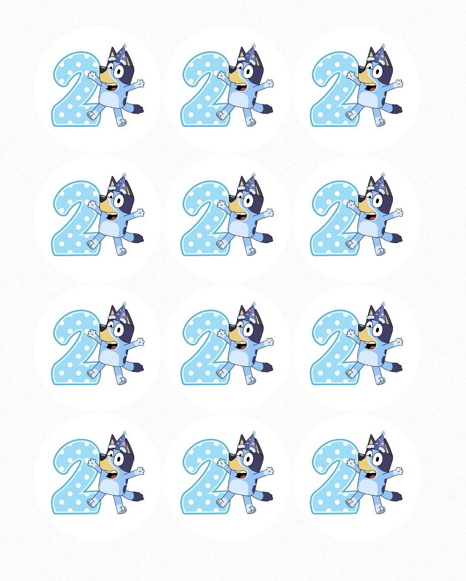 Set of 12 Precut Rounds