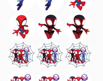 Spidey and Friends Edible Images