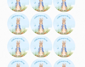 Peter Rabbit Edible Images