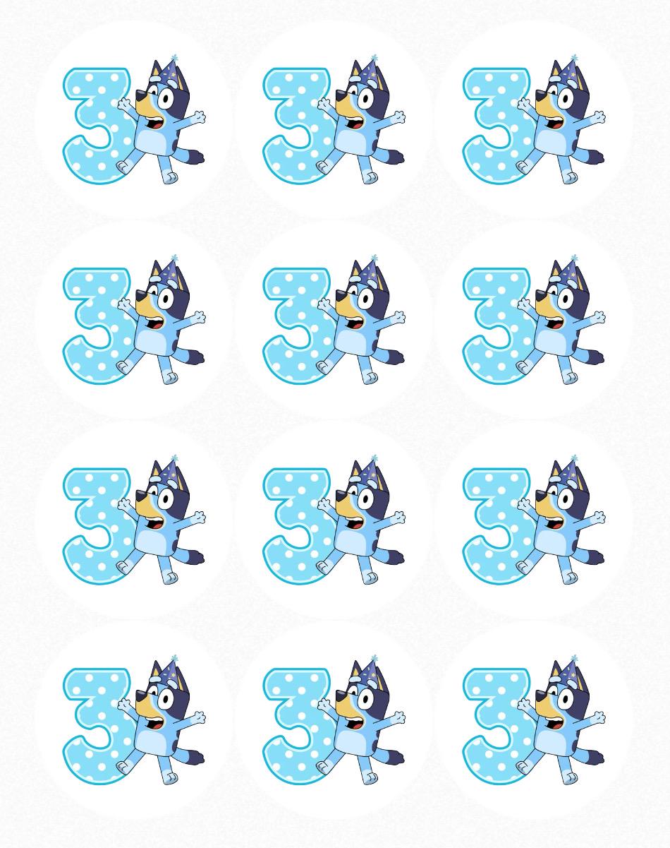 Set of 12 Precut Rounds