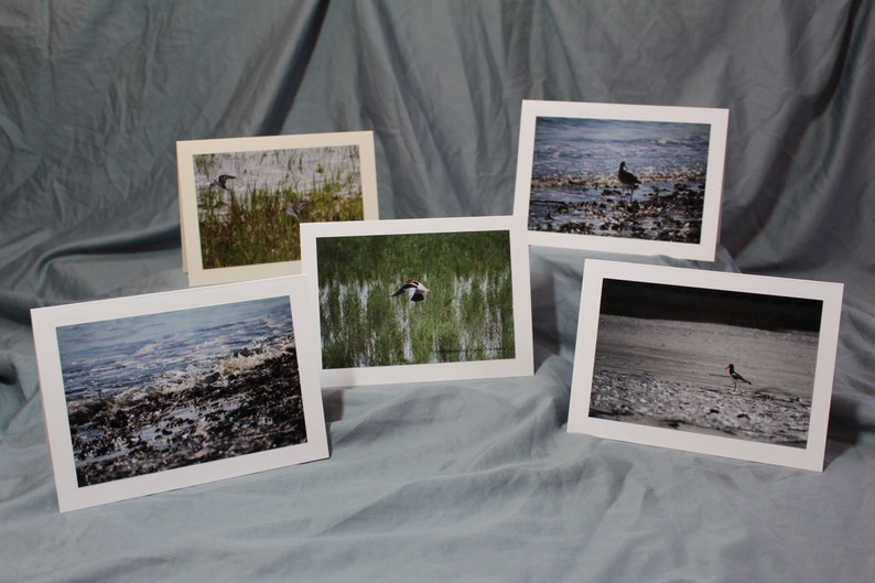 Wading Birds Notecard Collection Set of 5 Blank Notecards - Etsy