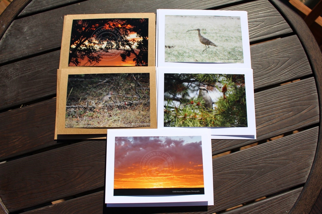 Birds and Sunsets Notecards Set of 5 Blank Notecards - Etsy