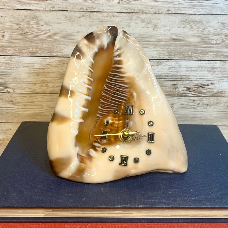 Seashell Clock - Etsy