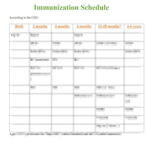 Pode incluir: Um gráfico detalhado do calendário de vacinação, de acordo com o CDC, com colunas para nascimento, 2 meses, 4 meses, 6 meses, 12-18 meses e 4-6 anos. O título "Calendário de Vacinação" é verde.