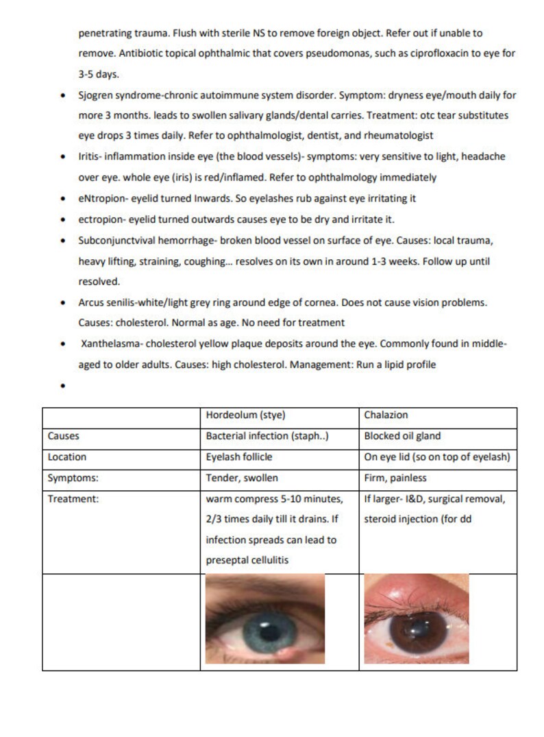 Nurse Practitioner Board Review on EYES - Etsy