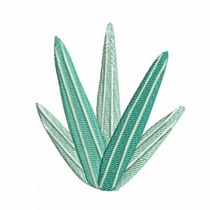 May include: A stylised embroidery design of a green plant with multiple leaves. The leaves are a gradient of light and dark green.