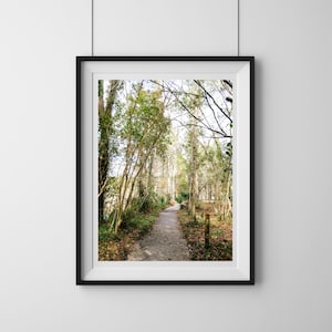 Magnolia Plantation Tree Lined Path - Charleston SC Photo Print, Charleston Wall Art, Lowcountry Landscape Art Southern Decor Nature Print