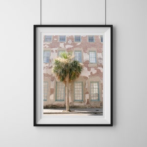 Queen St Palm Historic Downtown Charleston Photography Print, Charleston Wall Art South Carolina Print for Southern Style Home Decor Prints