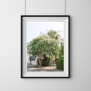 Charleston Print, Charleston Photography, Charleston Flowers, Charleston Wall Art, Charleston SC Art, Fine Art Print, Home Decor Prints