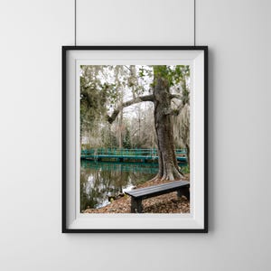Magnolia Plantation Garden Print - Lowcountry Landscape Live Oak Moss Print for Southern Home Decor, Historic Charleston Print