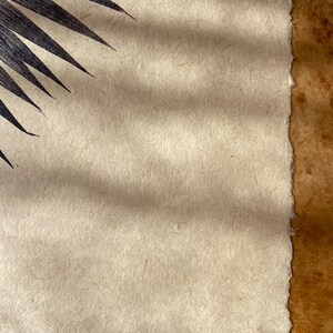 May include: A close-up of a textured, off-white paper with a black palm leaf shadow in the top left corner. The paper has a rough, handmade texture.