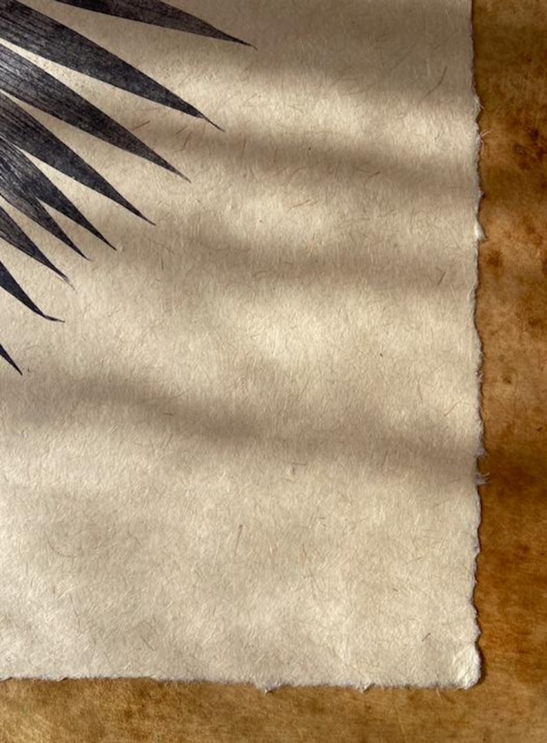 May include: A close-up of a textured, off-white paper with a black palm leaf shadow in the top left corner. The paper has a rough, handmade texture.
