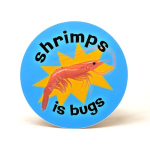 Puede incluir: Una pegatina redonda azul y amarilla con un camar&oacute;n y el texto "shrimps is bugs".