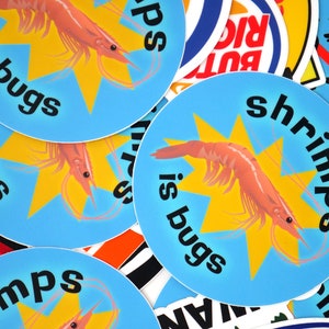 Puede incluir: Cuatro pegatinas redondas azules y amarillas con un camar&oacute;n de dibujos animados y el texto "shrimp is bugs".