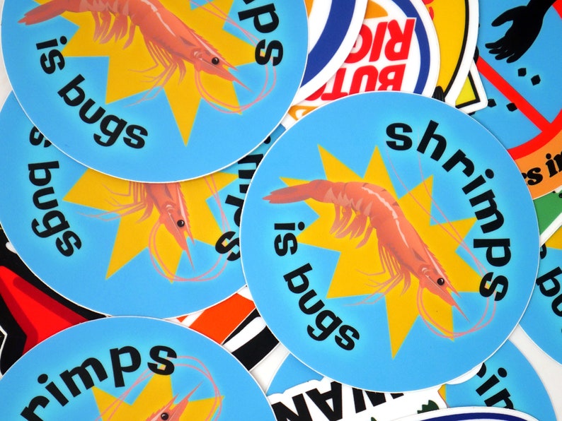 Puede incluir: Cuatro pegatinas redondas azules y amarillas con un camar&oacute;n de dibujos animados y el texto "shrimp is bugs".