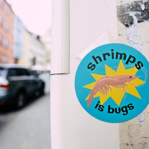 Puede incluir: Una pegatina azul y amarilla con un camar&oacute;n rosa y el texto "shrimps is bugs".