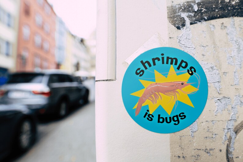 Puede incluir: Una pegatina azul y amarilla con un camar&oacute;n rosa y el texto "shrimps is bugs".