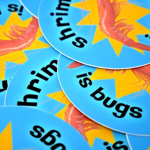 Puede incluir: Primer plano de varias pegatinas redondas azules y amarillas con el texto "Shrimp is bugs" impreso en negro. Las pegatinas presentan una ilustraci&oacute;n de camar&oacute;n de dibujos animados.